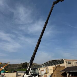 TEREX TELELIFT 3517